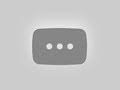 Столче за кола Lorelli - Lynx IsoFix, 0-36 kg, Black & Lemon Curry