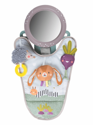 Бебешка играчка за кола Taf Toys - Garden