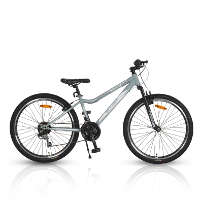 Велосипед със скорости Byox - Avenue 26", Grey