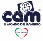Cam