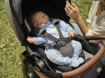 Бебешка количка 2 в 1 Chicco - Mysa, Duo система, Charming Grey