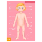 Образователен пъзел Eurekakids - Човешкото тяло, 100 части