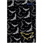 Папка - Astra, Boys style, A4, асортимент