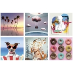 3D пъзел 6 в 1 Educa - Естетика