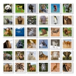 Игра за памет в куфарче Educa - Животни, 72 карти