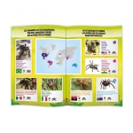 Детска играчка Buki France - Тарантула, с дистанционно управление