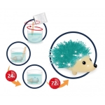 Образователен комплект Buki France - Мини наука, Кристален таралеж