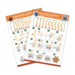 Образователна игра Buki France - Brain buster за напреднали