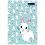 Папка Astra - Girls style, A4, асортимент