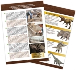 Изследователски комплект Buki France - Издълбай сам, Череп на Тиранозавър