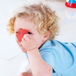 Дървен пъзел Hape - Кой е в къщата