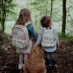 Мини раница за детска градина Sassi - Ленивец