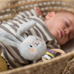 Бебешка мека дрънкалка Taf Toys - Зайчето Райли, 18 сm