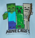 Блуза Minecraft - Skins, Bluе