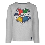 Блуза Harry Potter - Hogwarts, Grey
