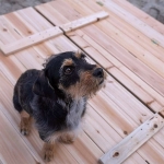 Дървен детски пясъчник с пейки и сгъваем капак - Ginger Home