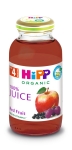 Био плодов сок Hipp - Червени плодове, 200 ml