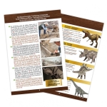 Изследователски комплект Buki France - Издълбай сам, Череп на трицератопс