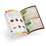 Комплект за изследователи Buki France - Терариум