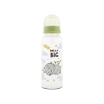 Бебешко шише Lorelli - Simple, Fresh Green, 250 ml