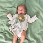 Мека кърпичка за гушкане Taf Toys - Лъв Хари