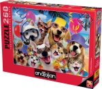 Пъзел Anatolian - Селфи на плажа, 260 части