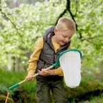 Мрежа за ловене на пеперуди Hape