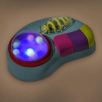 Бебешка играчка Battat - Светлинна музикална станция