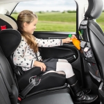 Органайзер за автомобилна седалка Reer - TravelKid Tidy