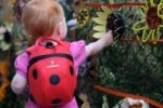 Детска раница LittleLife - Пеперуда, 2 l