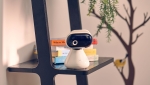 Камера Motorola - PIP1000 IP