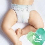 Бебешки пелени Pampers - Harmonie 3, 31 броя