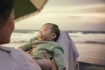Залъгалки Philips Avent - Ultra Air, с декорация Мече и плод с кутия за стерилизиране, 0-6 m, 2 броя