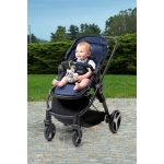 Музикална играчка 2 в 1 Chicco - Magic Forest, Енот