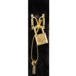 Таен дневник с катинар Astra - Пухкаво черно коте