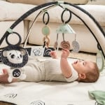 Активна гимнастика Tiny Love - Developmental Gymini от серията Black&White Decor