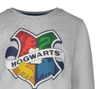 Блуза Harry Potter - Hogwarts, Grey
