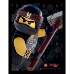Картина Lego - Ninjago, Cole, В остъклена рамка