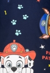 Блуза Paw Patrol