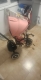 Прикачено изображение от потребител 1 за .
